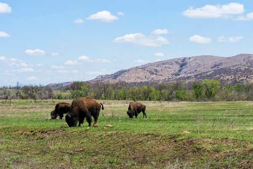 Editors' Picks: 18 of the Best Things to Do in Oklahoma!