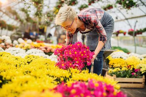 8 Best Garden Centers and Nurseries in Oklahoma!