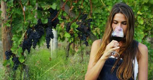 5 Best Wineries and Vineyards in Oklahoma!